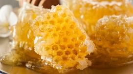 Honey in hive